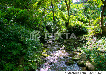 夏季三溪園橫濱 夏季三溪園橫濱 82035628