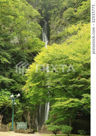 鬼怒瀑布 4 82035775