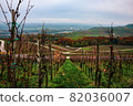Vineyards of the Moselle Valley in Luxembourg 82036007