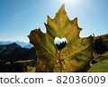 Leaf with the Alps view through the heart shape cut 82036009