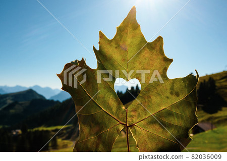 Leaf with the Alps view through the heart shape cut 82036009