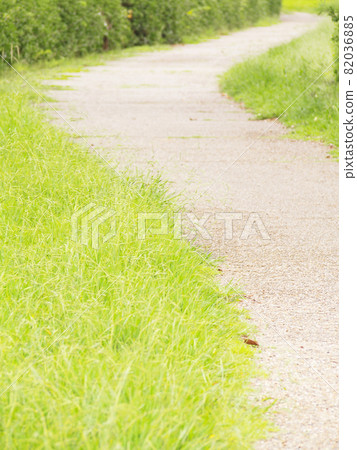 Winding Road 82036885