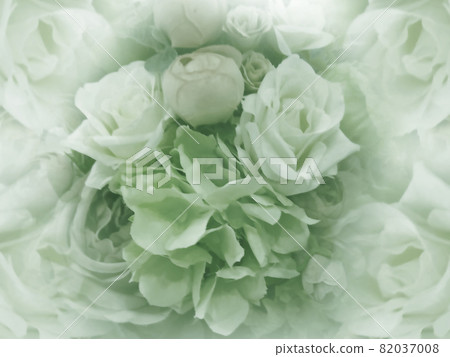 Floral vintage light green background.  Wallpapers of flowers light green peony and roses. Close-up. 82037008