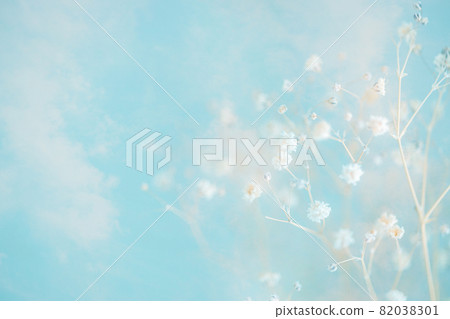 滿天星和天空 82038301