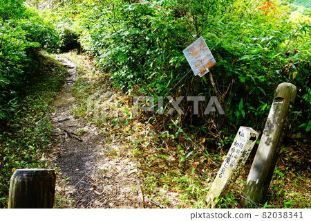 飯豐山大日杉路線 山路 三澤 飯豐山大日杉路線 山路 三澤 82038341