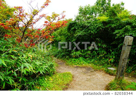 Mt. Iide Dainichisugi course mountain trail Jizodake branch Mt. Iide Dainichisugi course mountain trail Jizodake branch 82038344