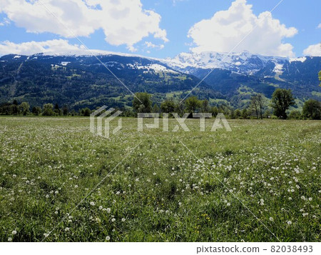 Mountains in eastern Switzerland Spring Pizol (St. Gallen) Mountains in eastern Switzerland Spring Pizol (St. Gallen) 82038493
