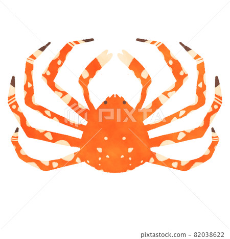 日本蜘蛛蟹圖 82038622