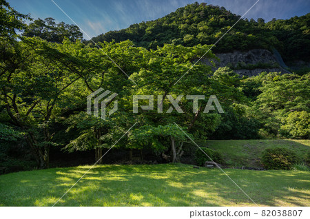 夏季山中的公園,陽光透過樹木 夏季山中的公園,陽光透過樹木 82038807