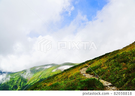 飯出山:御前坂附近的山路和雪谷殘存的山脊線 飯出山:御前坂附近的山路和雪谷殘存的山脊線 82038818