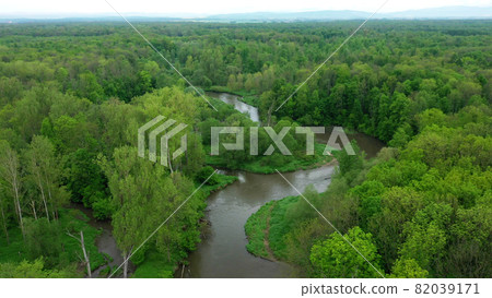 River delta river meander inland dron aerial video shot in floodplain forest and lowlands wetland swamp, quadcopter view flying fly flight show, protected landscape area of Litovelske Pomoravi 82039171