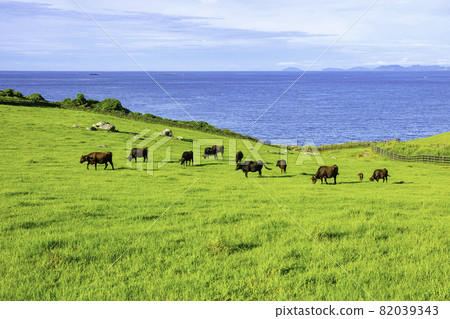 A wonderful view of Kabe Island Suginohara Ranch (Yobuko-cho, Karatsu City, Saga Prefecture) 82039343