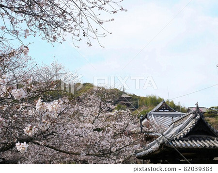 Onomichi City, Hiroshima Prefecture Spring Saikokuji Temple Onomichi City, Hiroshima Prefecture Spring Saikokuji Temple 82039383