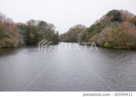 Autumn muroike garden 82040411