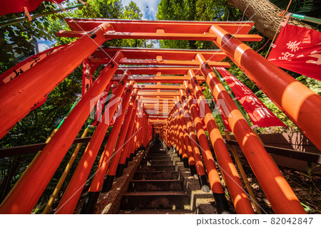日本東京街景、日枝神社、千本鳥居等。 82042847