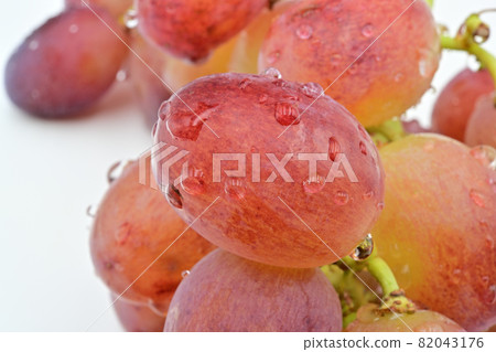 葡萄 葡萄 82043176