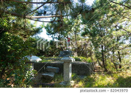[Aichi Prefecture] Matsushima 82043970
