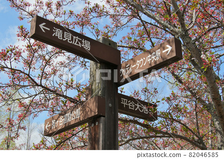Destination display board in Sanda City Hiratanigawa Ryokuchi Destination display board in Sanda City Hiratanigawa Ryokuchi 82046585