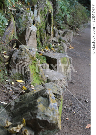 Stones with moss Mountain trail Stones with moss Mountain trail 82047477