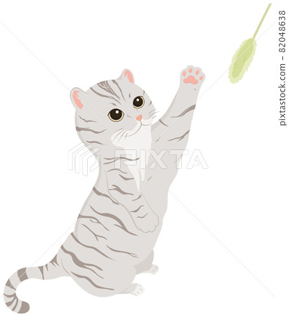 Cat playing with a cat-brat 82048638