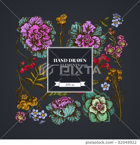 Square floral design on dark background with wax flower, forget me not flower, tansy, ardisia Square floral design on dark background with wax flower, forget me not flower, tansy, ardisia 82048922
