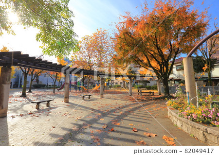 秋天公園風景 秋天公園風景 82049417