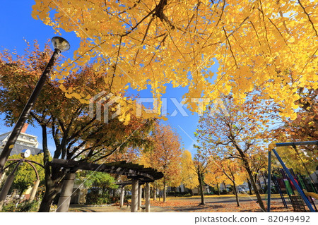 秋季公園風景玩具套裝和長凳 秋季公園風景玩具套裝和長凳 82049492