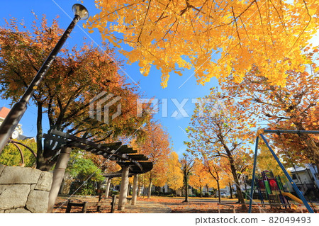 秋季公園風景玩具套裝和長凳 82049493