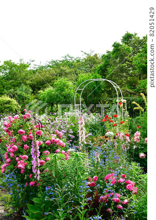 Nigorikawa Park Citizen's Flowerbed (Niigata Prefecture) Nigorikawa Park Citizen's Flowerbed (Niigata Prefecture) 82051429