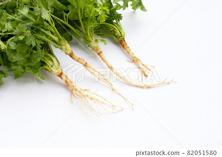 Fresh coriander on white background. Fresh coriander on white background. 82051580