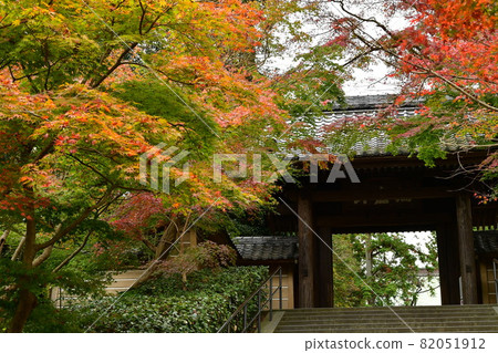 秋葉楓楓 82051912