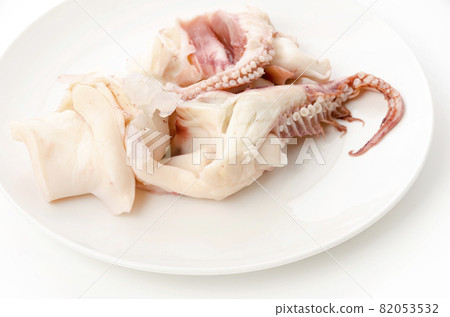 Boyle squid lower leg (Sodeika lower leg) Boyle squid lower leg (Sodeika lower leg) 82053532