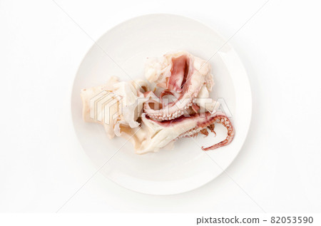 Boyle squid lower leg (Sodeika lower leg) 82053590