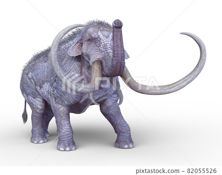 Mammoth 82055526