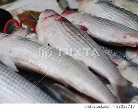 虱目魚 82055713