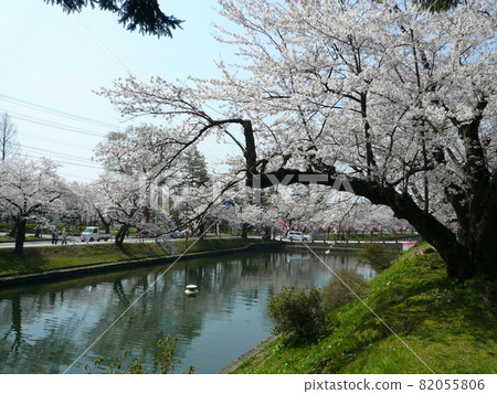 Mogami Park (Shinjo City, Yamagata Prefecture) 82055806