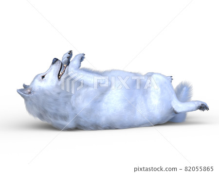 狼 82055865