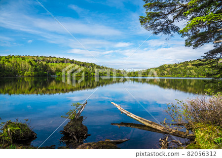 << Nagano Prefecture >> Sakuho Town Shirakoma no Ike 82056312