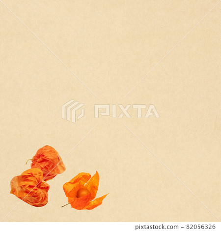 日本紙和hozuki 82056326