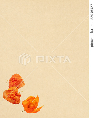 日本紙和hozuki 82056327