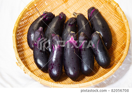 在菜園收穫的濾器上新鮮採摘的茄子 82056708