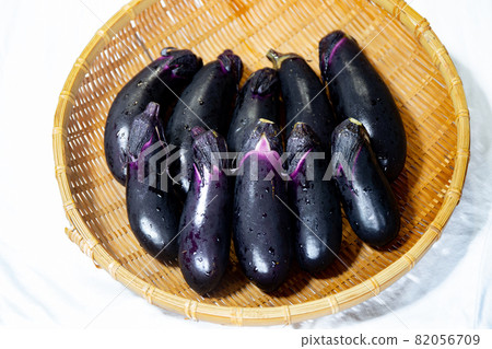 在菜園收穫的濾器上新鮮採摘的茄子 82056709