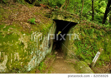 Kasagi Temple (Kaguri in the womb) [Kasagi Town, Soraku District, Kyoto Prefecture] 82056926