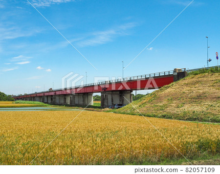 日本最寬的河流荒川上的御成橋 82057109