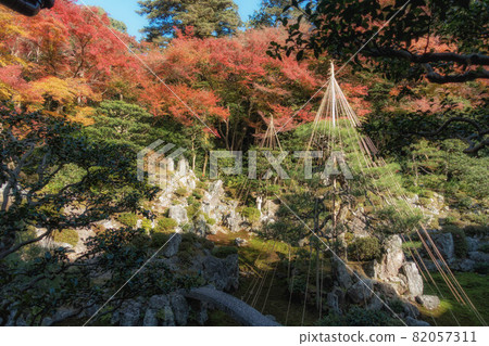 滋賀縣米原市青巖寺庭園秋景雪掛 82057311