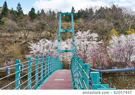 山梨縣 Doshi River Sakura 和 Kappabashi 山梨縣 Doshi River Sakura 和 Kappabashi 82057497