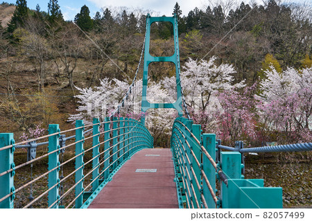 山梨縣 Doshi River Sakura 和 Kappabashi 山梨縣 Doshi River Sakura 和 Kappabashi 82057499
