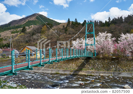 Yamanashi Prefecture Doshi River Sakura and Kappabashi Yamanashi Prefecture Doshi River Sakura and Kappabashi 82057500