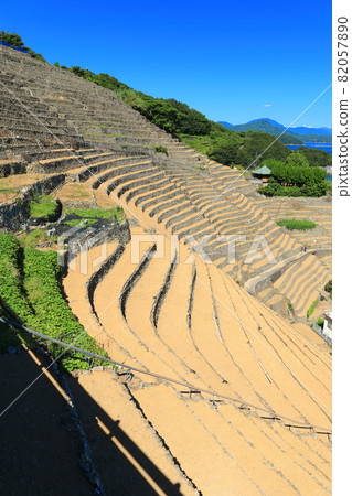 [Ehime Prefecture] Yusu stepped fields under clear skies 82057890