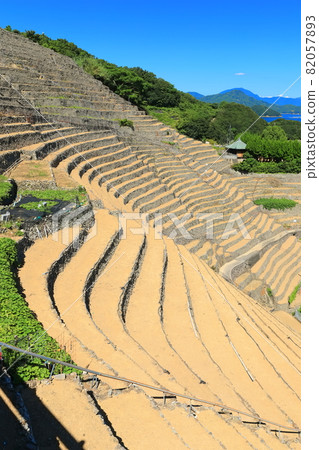 [愛媛縣] 晴空下的玉宿踏著田野 82057893